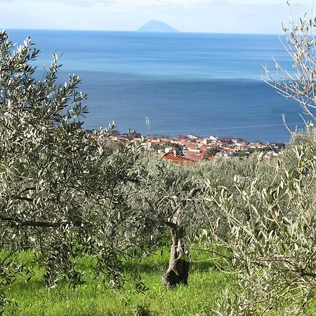 ベッド・アンド・ブレックファスト Thea 3*